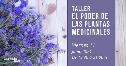 Taller: El poder de las plantas medicinales